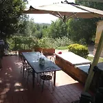 In My Country