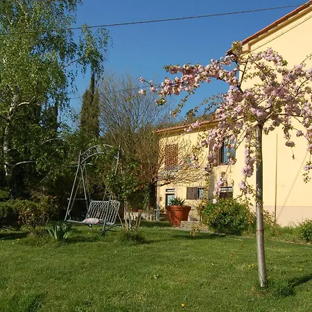 In My Country *